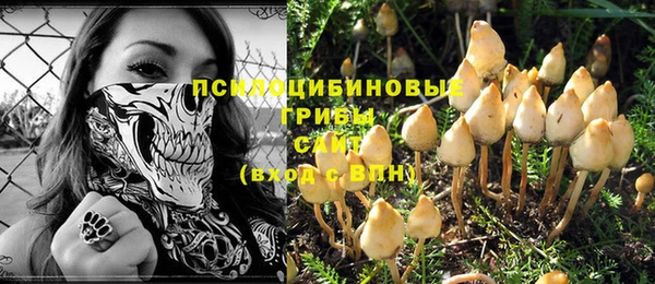 прущая мука Туринск